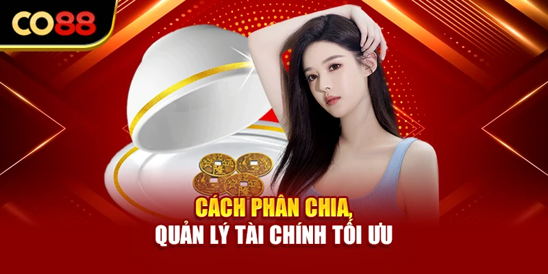 Cách phân chia, quản lý tài chính tối ưu